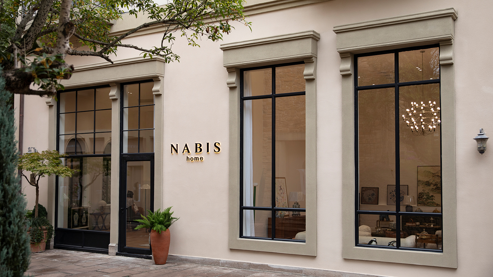 NABIS案例展示
